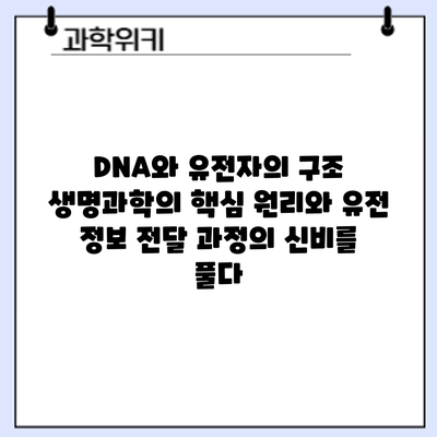 DNA와 유전자의 구조: 생명과학의 핵심 원리와 유전 정보 전달 과정의 신비를 풀다