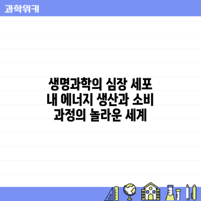 생명과학의 심장: 세포 내 에너지 생산과 소비 과정의 놀라운 세계