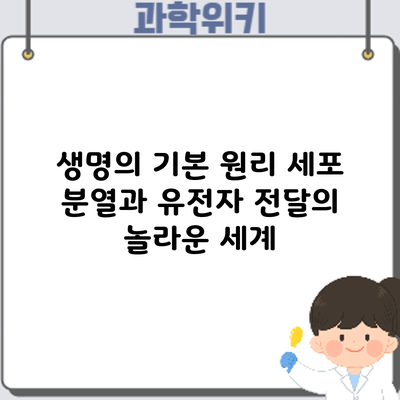 생명의 기본 원리: 세포 분열과 유전자 전달의 놀라운 세계