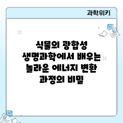 식물의 광합성: 생명과학에서 배우는 놀라운 에너지 변환 과정의 비밀