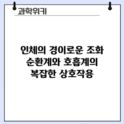 인체의 경이로운 조화: 순환계와 호흡계의 복잡한 상호작용