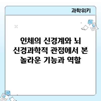 인체의 신경계와 뇌: 신경과학적 관점에서 본 놀라운 기능과 역할