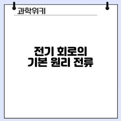 전기 회로의 기본 원리: 전류