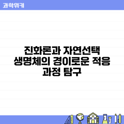진화론과 자연선택: 생명체의 경이로운 적응 과정 탐구