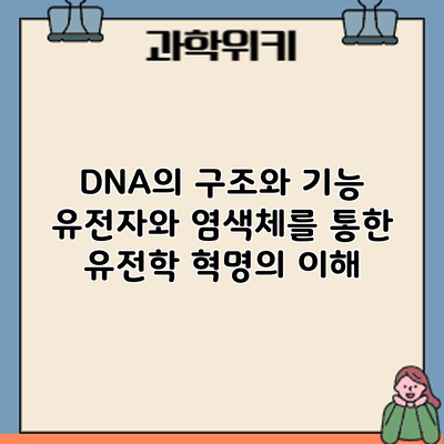 DNA의 구조와 기능: 유전자와 염색체를 통한 유전학 혁명의 이해