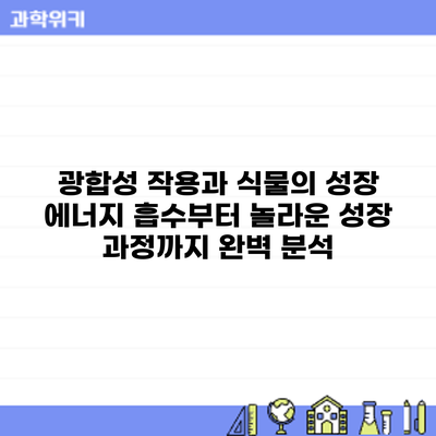 광합성 작용과 식물의 성장: 에너지 흡수부터 놀라운 성장 과정까지 완벽 분석