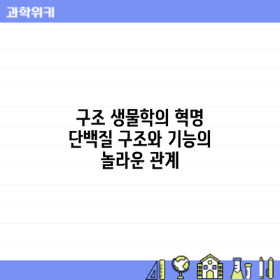 구조 생물학의 혁명: 단백질 구조와 기능의 놀라운 관계