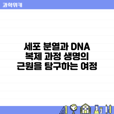 세포 분열과 DNA 복제 과정: 생명의 근원을 탐구하는 여정