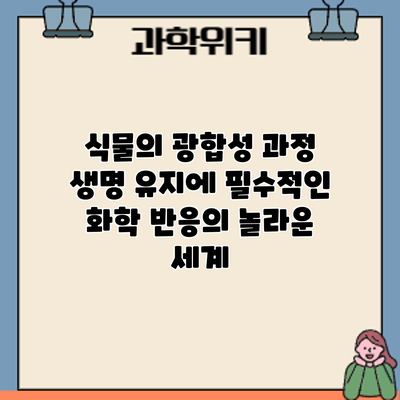식물의 광합성 과정: 생명 유지에 필수적인 화학 반응의 놀라운 세계