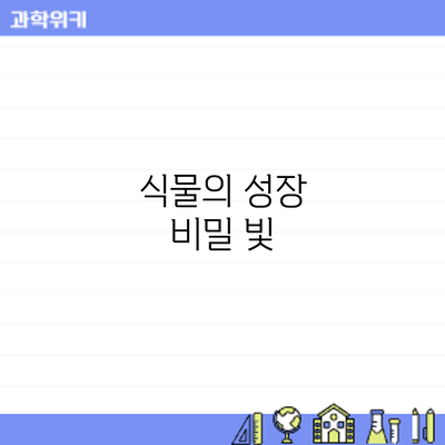 식물의 성장 비밀: 빛