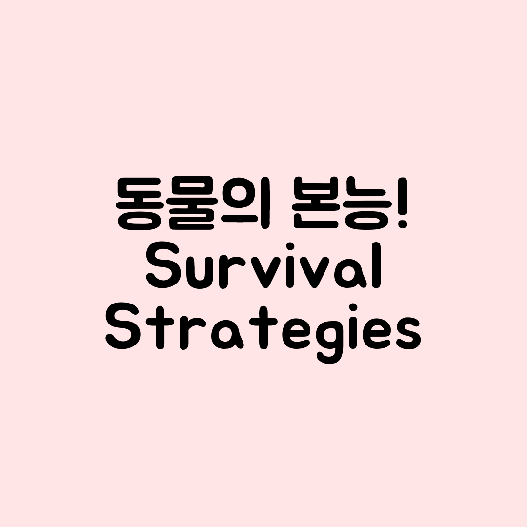 누구나 쉽게 이해하는 동물의 본능과 생존 전략